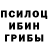 Псилоцибиновые грибы Psilocybine cubensis Menacing Thinker