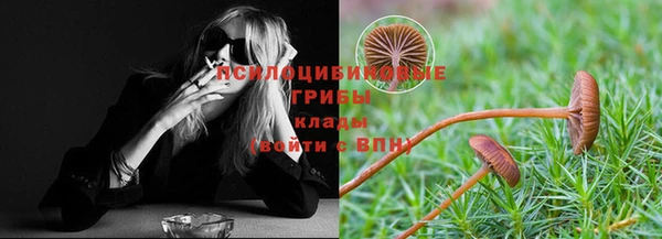 прущий лед Мегион