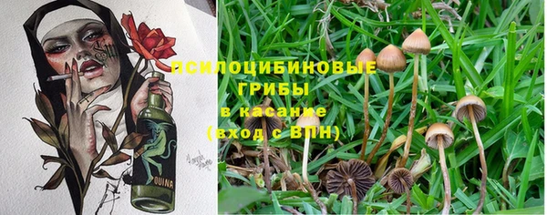 винт Медвежьегорск