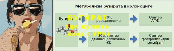 прущие грибы Медногорск