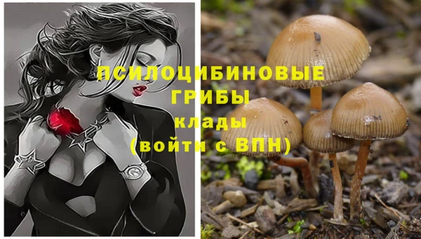 прущий лед Мегион
