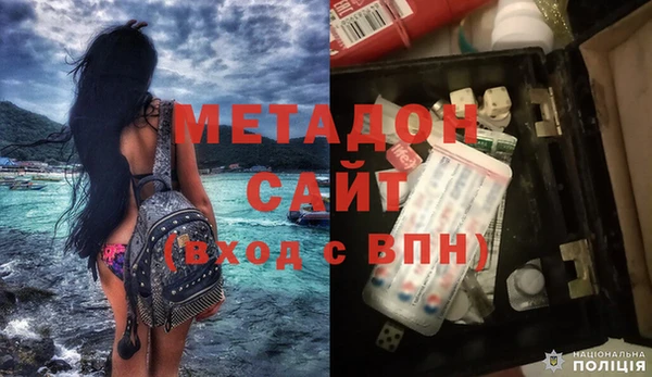 прущие грибы Медногорск