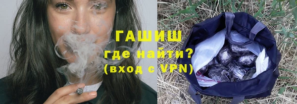 прущие грибы Медногорск