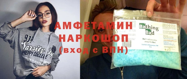прущие грибы Медногорск