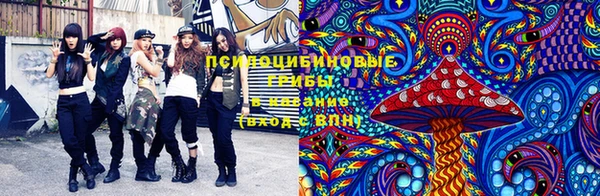 прущие грибы Медногорск