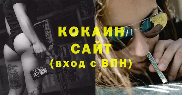 винт Медвежьегорск