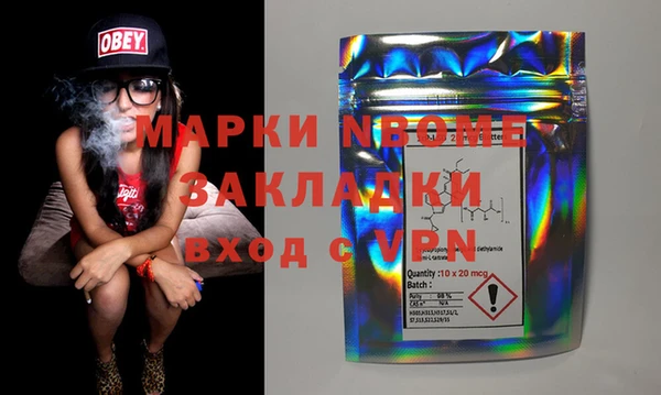 прущие грибы Медногорск