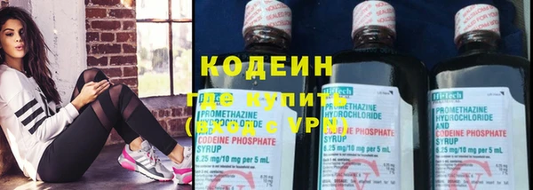 прущие грибы Медногорск